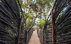 Zion Bubble Glamping